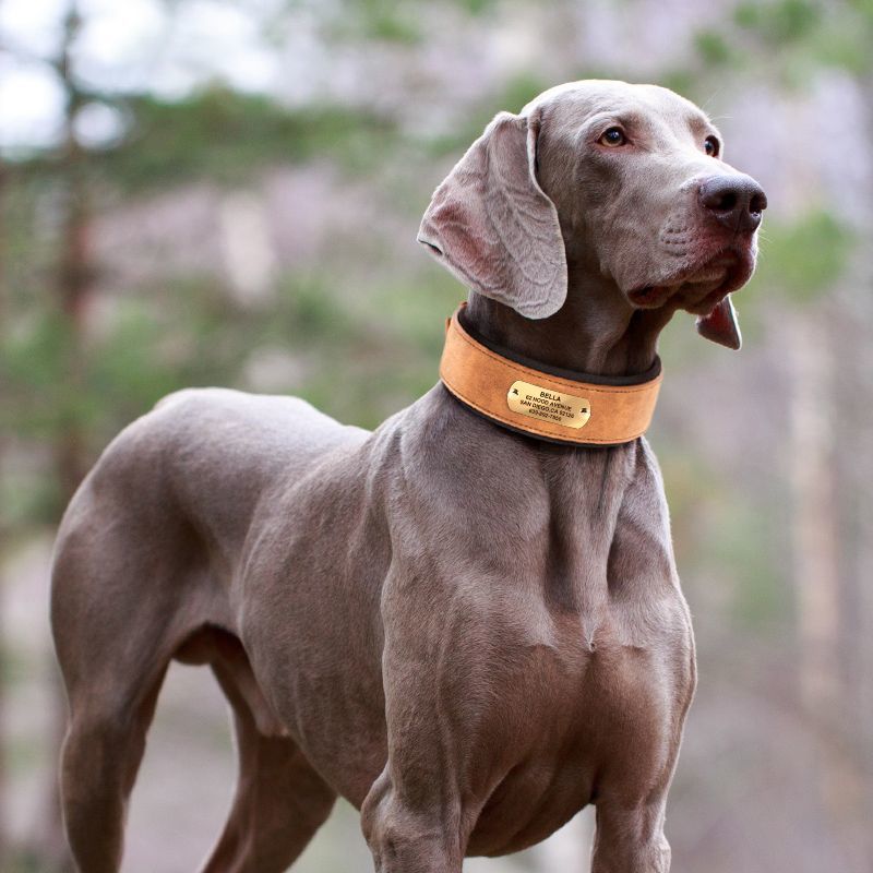 Crafted for the Ones Who Love Without Words