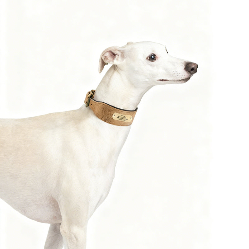Custom Engraved Anti-Loss Leather Collar