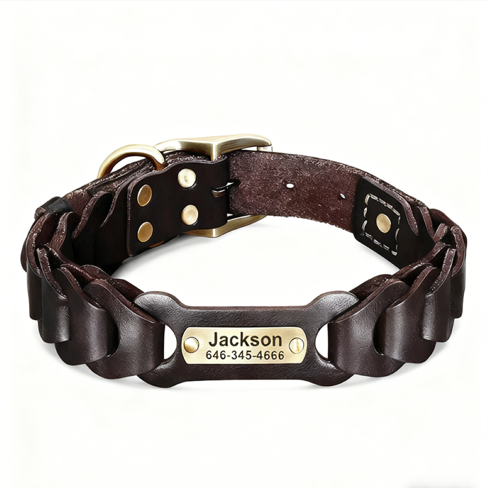 Genuine Leather Dog Collar & Leash Set