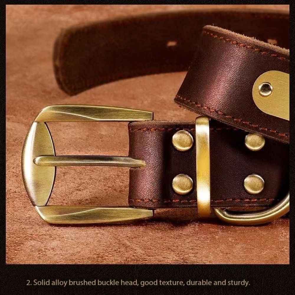 Genuine Leather Dog Collar & Leash Set (Golden Retriever)